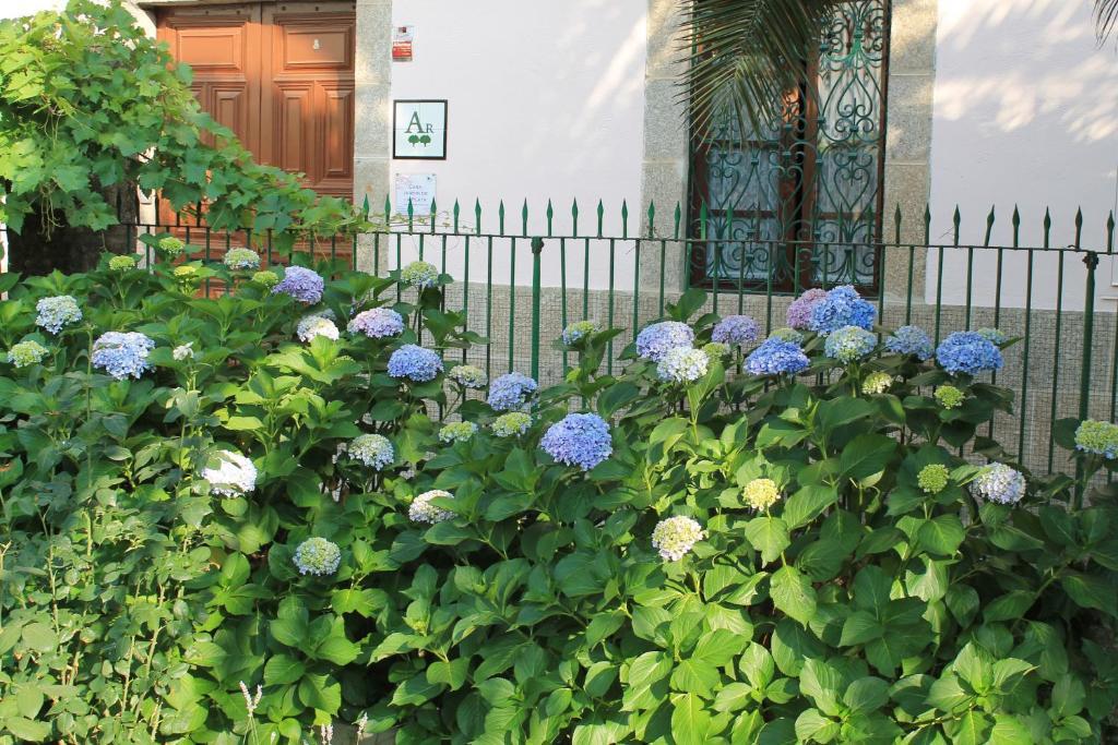 Casa Jardín de la Plata Banos De Montemayor Exterior foto